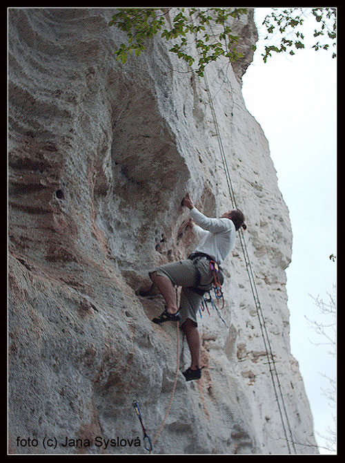 Danza Saraceno (Plazza Pioti) 5c